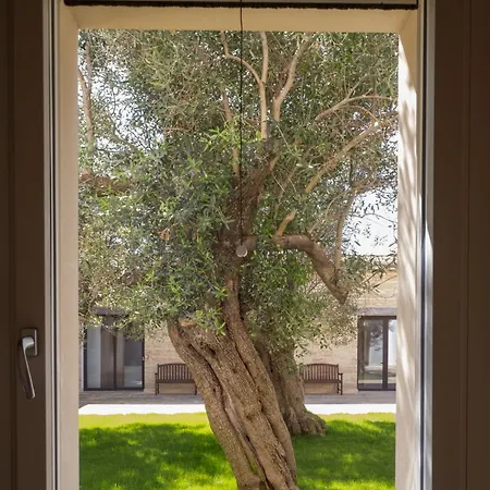 Farm stay Secolario Masseria Del Viverbene